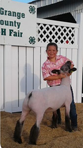 Mishler Club Lambs Winners