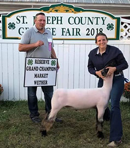 Mishler Club Lambs Winners