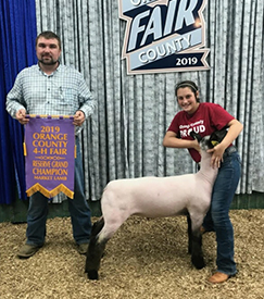 Mishler Club Lambs Winners