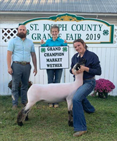 Mishler Club Lambs Winners