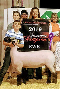 Mishler Club Lambs Winners
