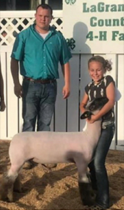 Mishler Club Lambs Winners